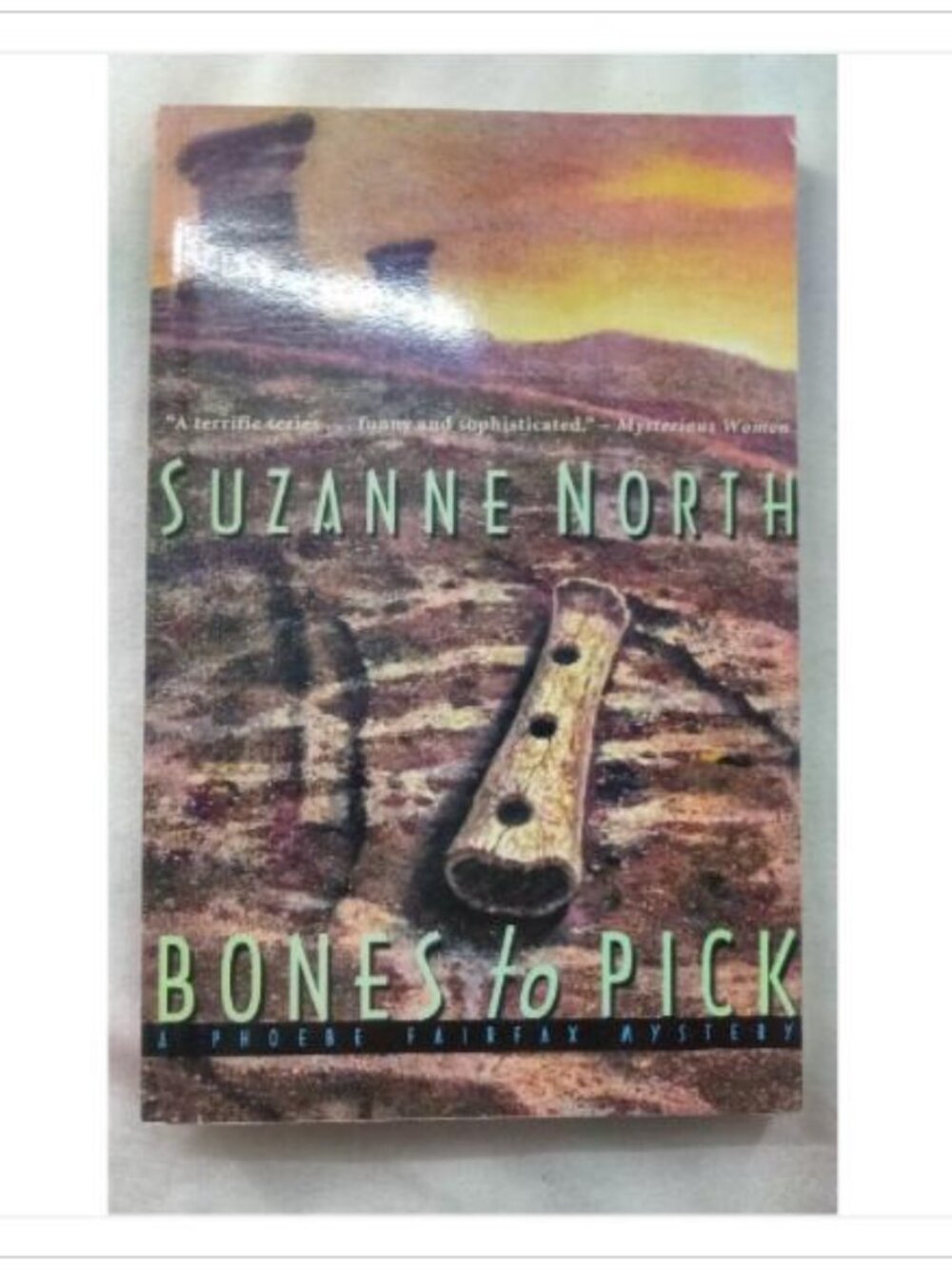 Bones to Pick Suzanne North First Edition Paperback Book Vintage Novel Read